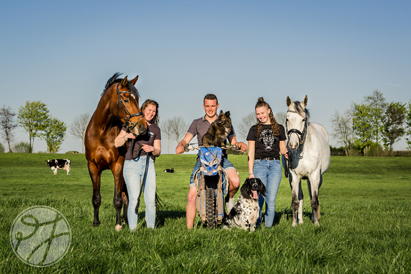 Fotoshoot met paarden en honden in Hazerwoude-Dorp 6